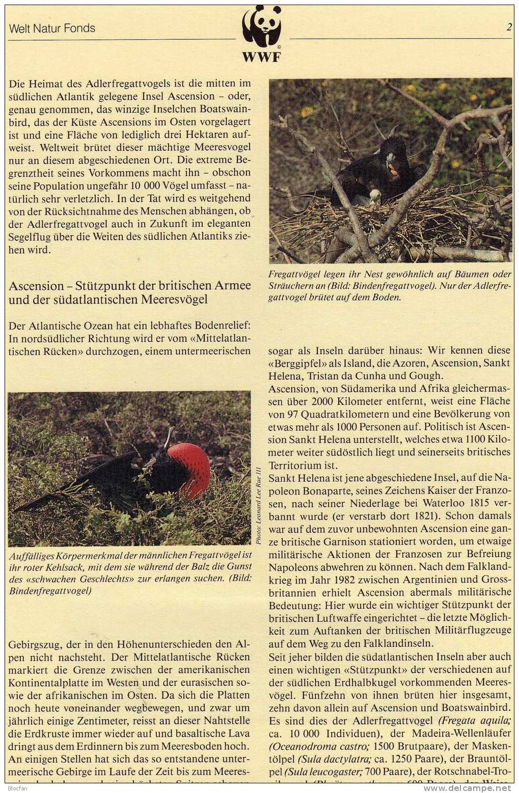 WWF-Set 94 Ascension 521/4 ** 13€ Adlerfregatt-Vogel Naturschutz, Dokumentation - Ascension