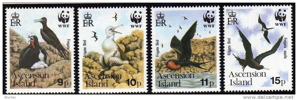 WWF-Set 94 Ascension 521/4 ** 13€ Adlerfregatt-Vogel Naturschutz, Dokumentation - Ascension