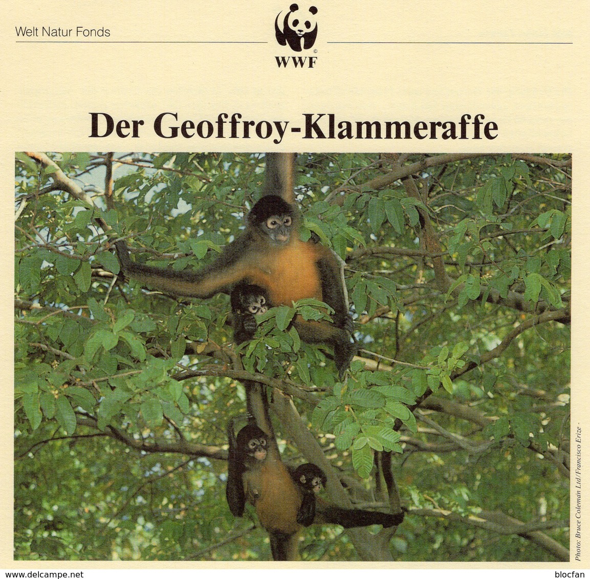 1990 WWF 3 Sets 91 Honduras 1084/7 **, 4x MC+FDC 42€ Klammer-Affen Naturschutz Documentation Geoffrey Monkey Of AMERICA - Nature