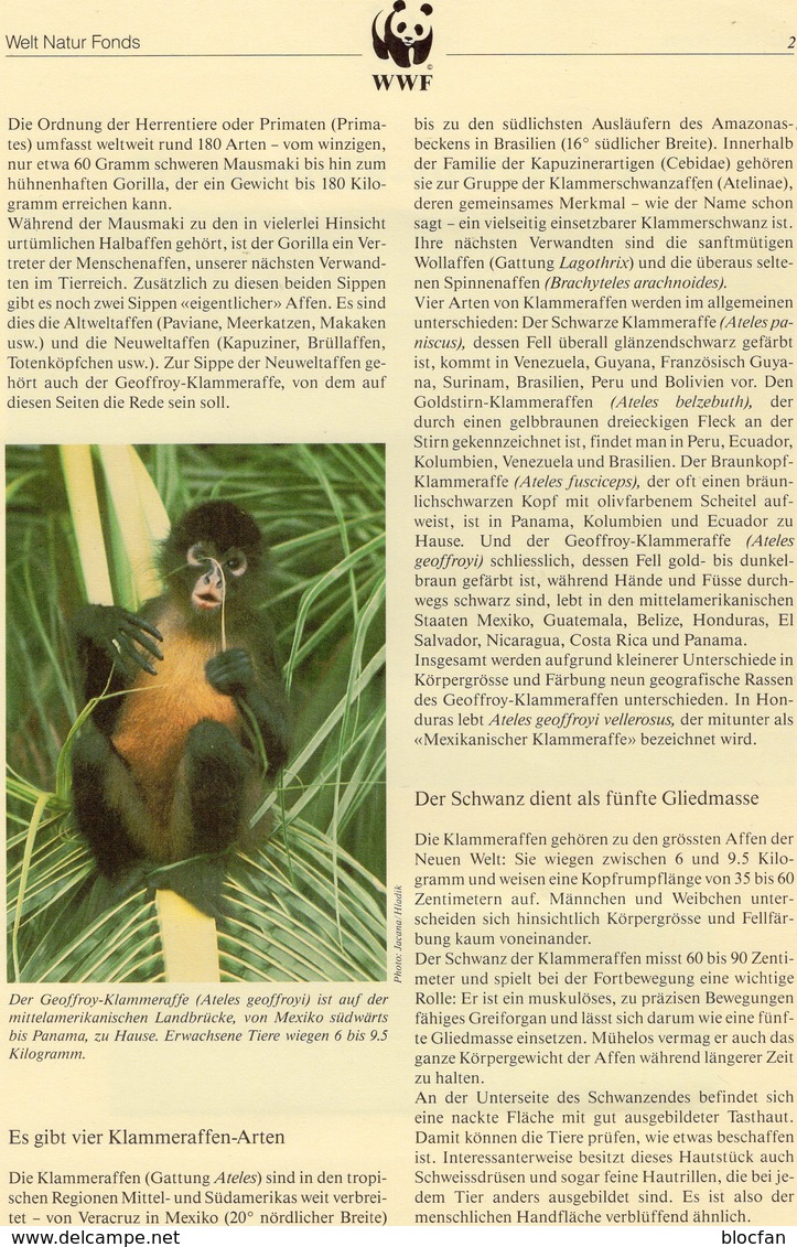 1990 WWF 3 Sets 91 Honduras 1084/7 **, 4x MC+FDC 42€ Klammer-Affen Naturschutz Documentation Geoffrey Monkey Of AMERICA - Nature