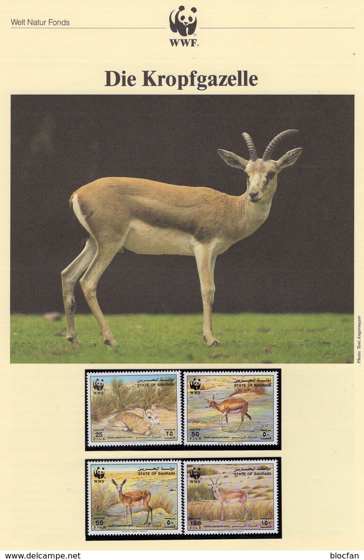 Gazellen WWF-Set 147 Bharain 511/4 ** 15€ Kropf-Gazelle 1993 Naturschutz Dokumentation Wild Fauna Gazella Stamp Wildlife - Bahrein (1965-...)