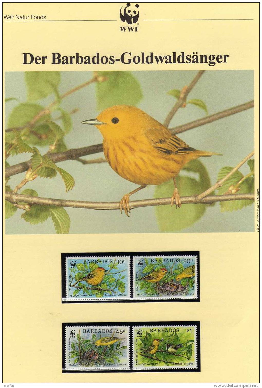 WWF-Set 107 Barbados 770/3 ** 14€ Goldwaldsänger Naturschutz Mit Dokumentation - Barbades (1966-...)