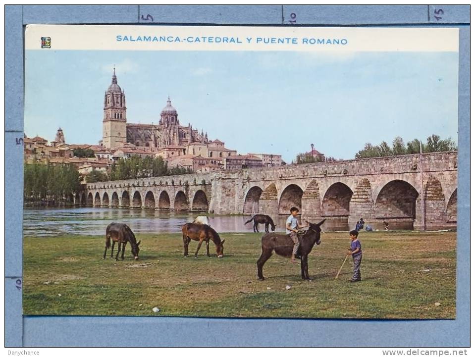 A407 SALAMANCA CATEDRAL Y PUENTE ROMANO ASINI - Salamanca