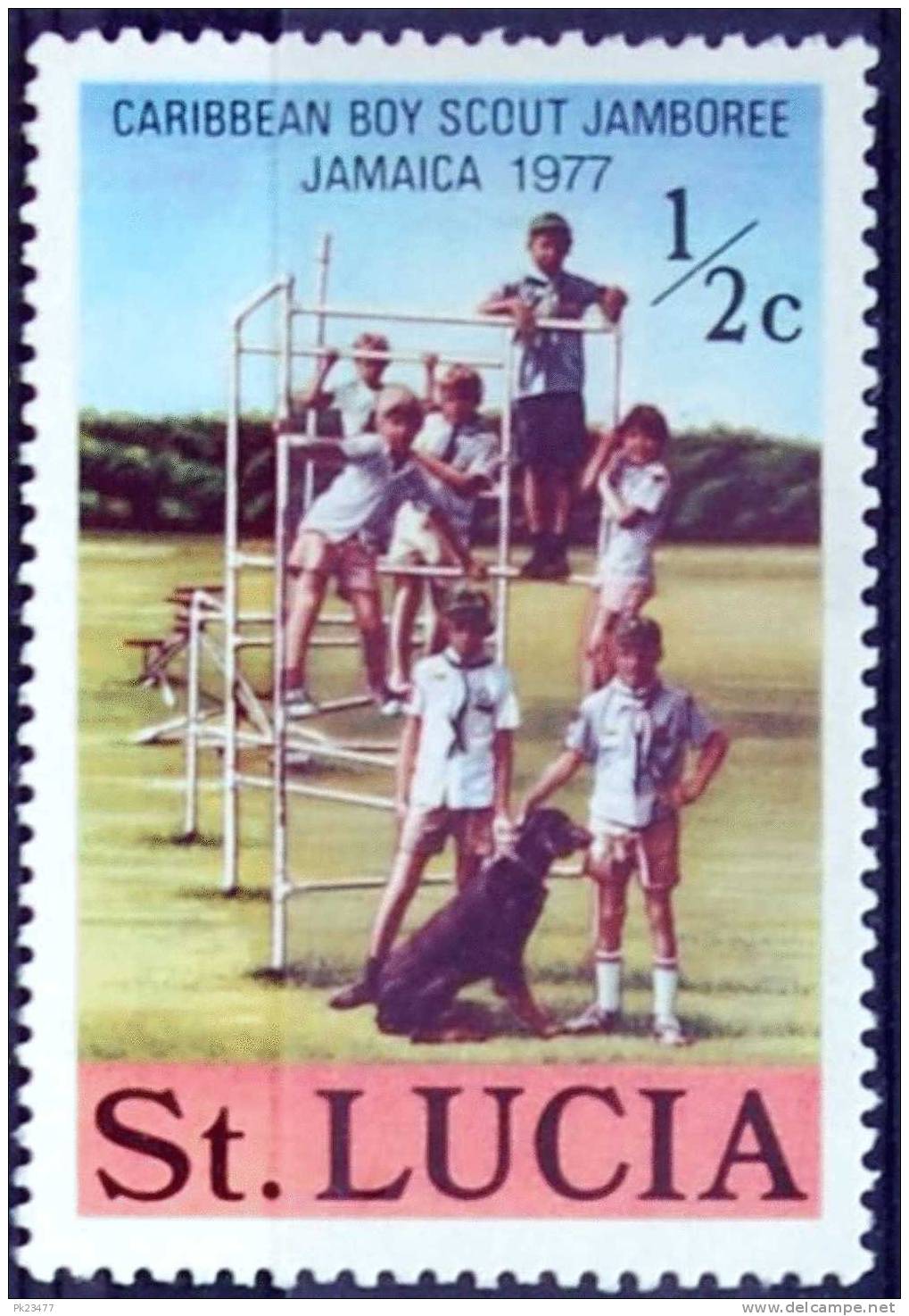 St. Lucia 1977 Scouts 1/2 C  Mint 1V MNH - St.Lucie (1979-...)