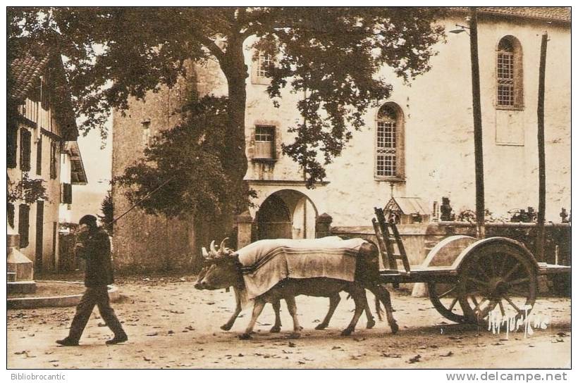 D64 - CAMBO - ATTELAGE BASQUE PASSANT DEVANT L´EGLISE DE CAMBO - Autres & Non Classés