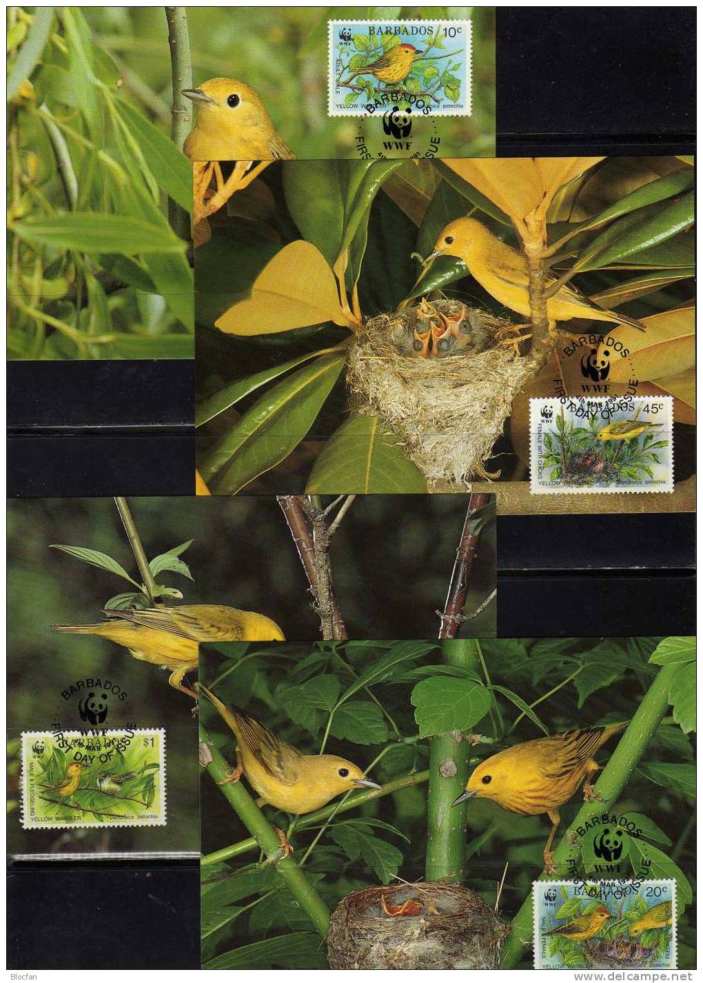 WWF-Set 107 Barbados 770/3 **,4FDC+4MKt. 37CHF Vögel Goldwaldsänger 1991 Dokumentation Fauna Bird Cover Of America - Colecciones (en álbumes)
