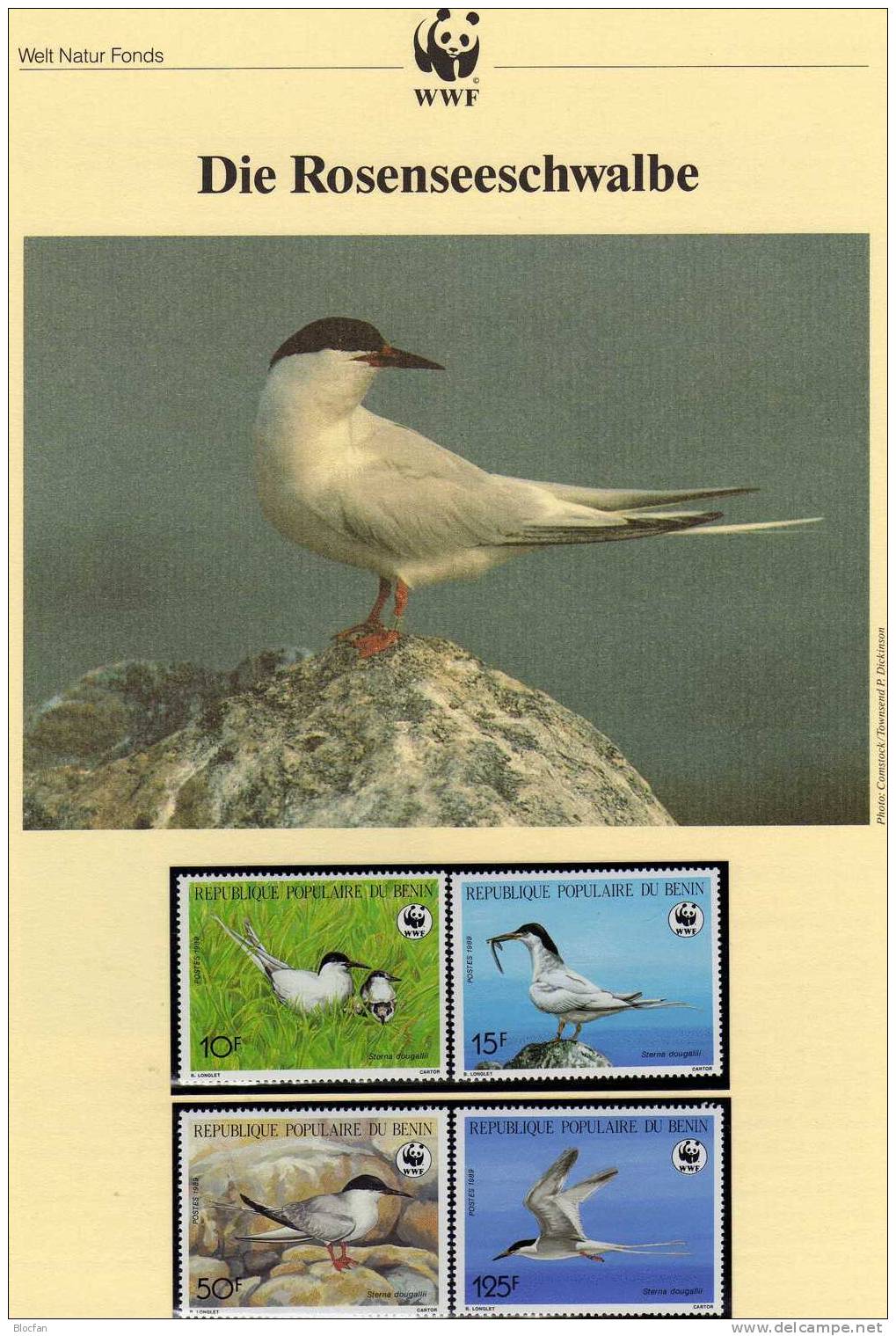 WWF-Set 77 Benin 476/9 770/3 **,4FDC+4MKt. 50CHF Rosen-Seeschwalbe 1989 Dokumentation Fauna Bird Cover Of Africa - Collezioni (in Album)