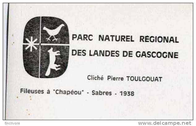 Cpm SABRES Fileuse à CHAPEOU 1938 -Parc Des Landes De Gascogne -cl Toulgouat - Ed Mopy - Sabres