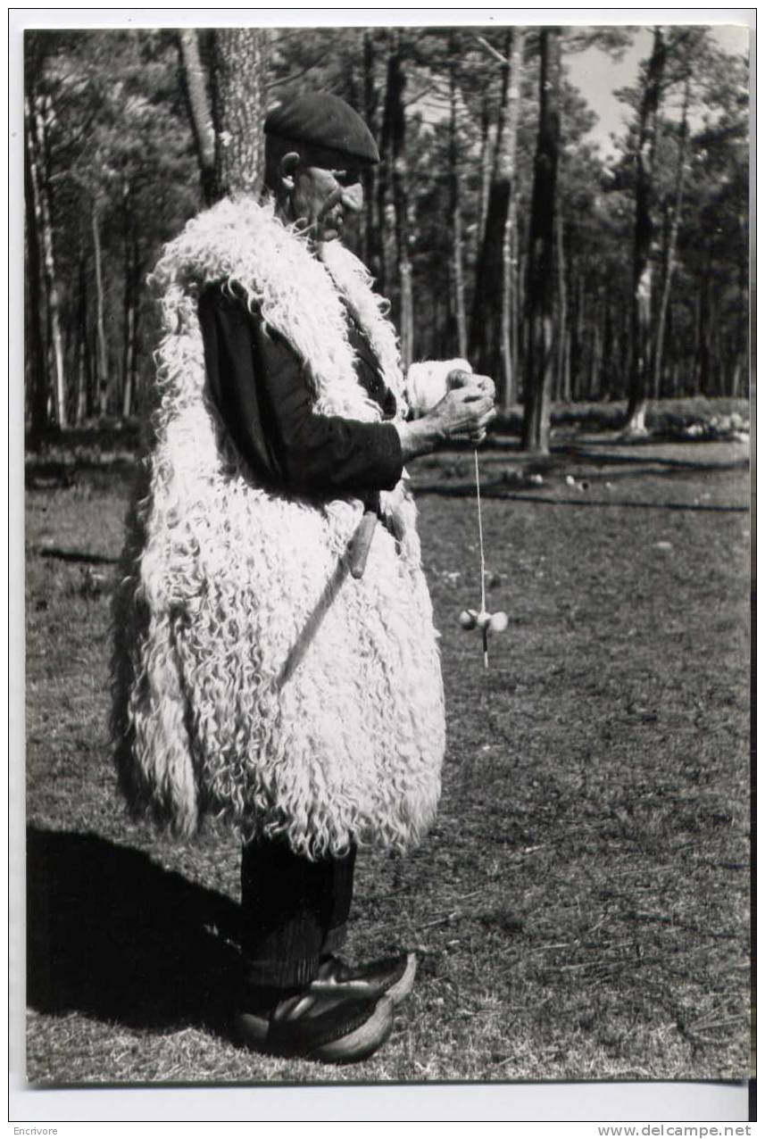 Cpm CASTETS Des Landes Chevrier Filant La Laine1938 -Parc Des Landes De Gascogne -cl Toulgouat - Ed Mopy - Castets