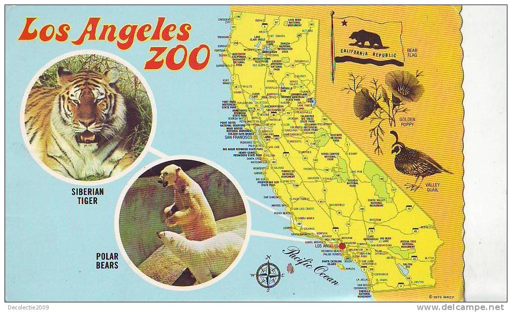 ZS2545 Animaux /Animals Faune Los Angeles Zoo Siberian Tiger/ Polar Bears Not Used PPC Good Shape - Ours