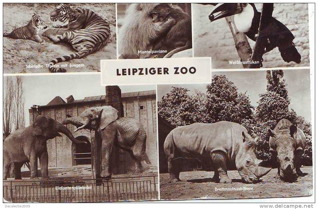 ZS2561 Animaux / Animals Fauna Zoo Leipzig Elephant Tiger Hippo Not Used PPC Good Shape - Tigres