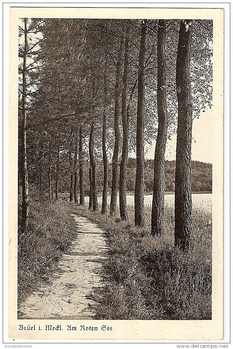 AK Brüel I. Meckl. Am Roten See 20.11.40. 10 BRÜEL (MECKL) B  Feldpost AUFST.-Stab Güstrow Nach Stein In Sachsen - Parchim