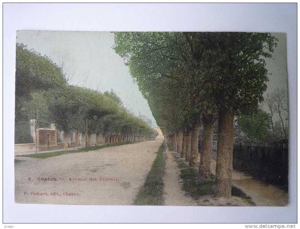 CHATOU  :  Avenue Des TILLEULS  (Carte Couleur) - Chatou