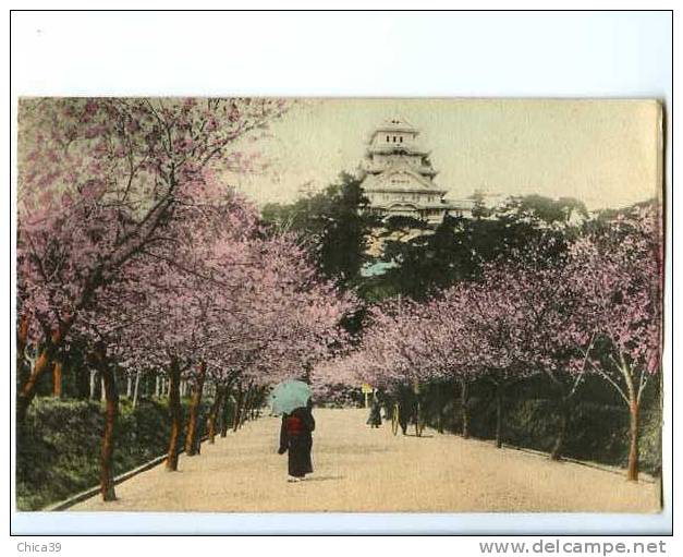 011539  -  JAPON  -  The N.Y.K. Line    S.S. " KITANO-MARU "  Himeji Castle Near Kobe In Cherry Blossoms - Kobe