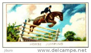 Image Cartonnée Début 20° Siècle  /  Hippisme / Horse Jumping / Saut D'obstacles / Course Chevaux / - Hipismo