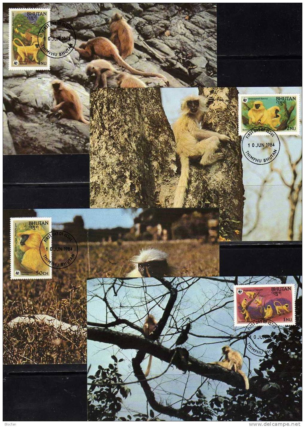 Maxicards WWF-Set 12 Bhutan 840/3 4 MKt.10€ Goldlangur Affe Naturschutz 1984 Documentation Langur Wild-life Card Of Asia - Cartes-maximum