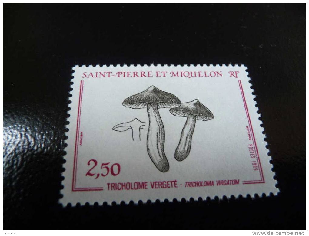 Saint-Pierre En Miquelon MNH, - Andere & Zonder Classificatie