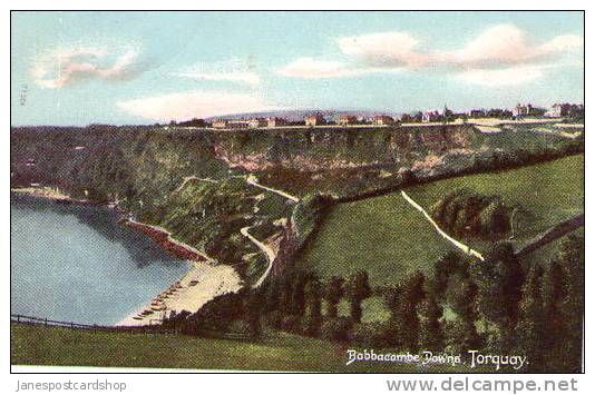 BABBACOMBE DOWNS - Longer View - C 1910s 20s -TORQUAY - Devon - Torquay