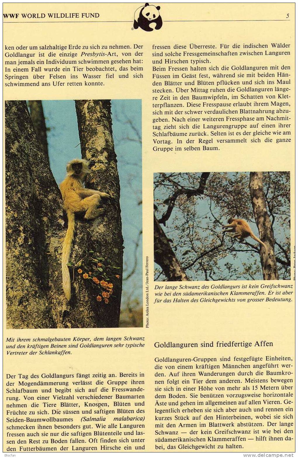 WWF-Set 12 Bhutan 840/3 **,4FDC+4MKt. 26CHF Goldlangur Affe 1984 Dokumentation Monkey Cover Set Of Asia - Verzamelingen (in Albums)