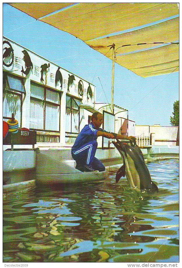 Zd2710 Animaux Animals Dolphins Dauphins Romania Used PPC Good Shape - Dolfijnen