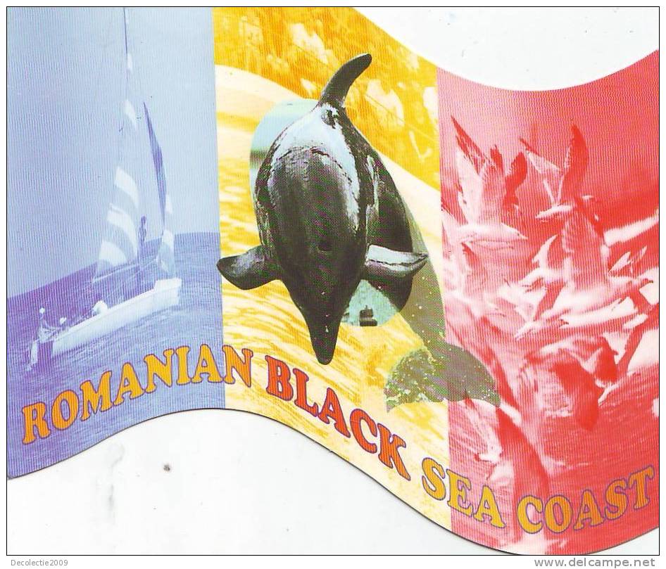 Zd2718 Animaux Animals Dolphins Dauphins Romania Black Sea Not Used PPC Good Shape - Dolfijnen