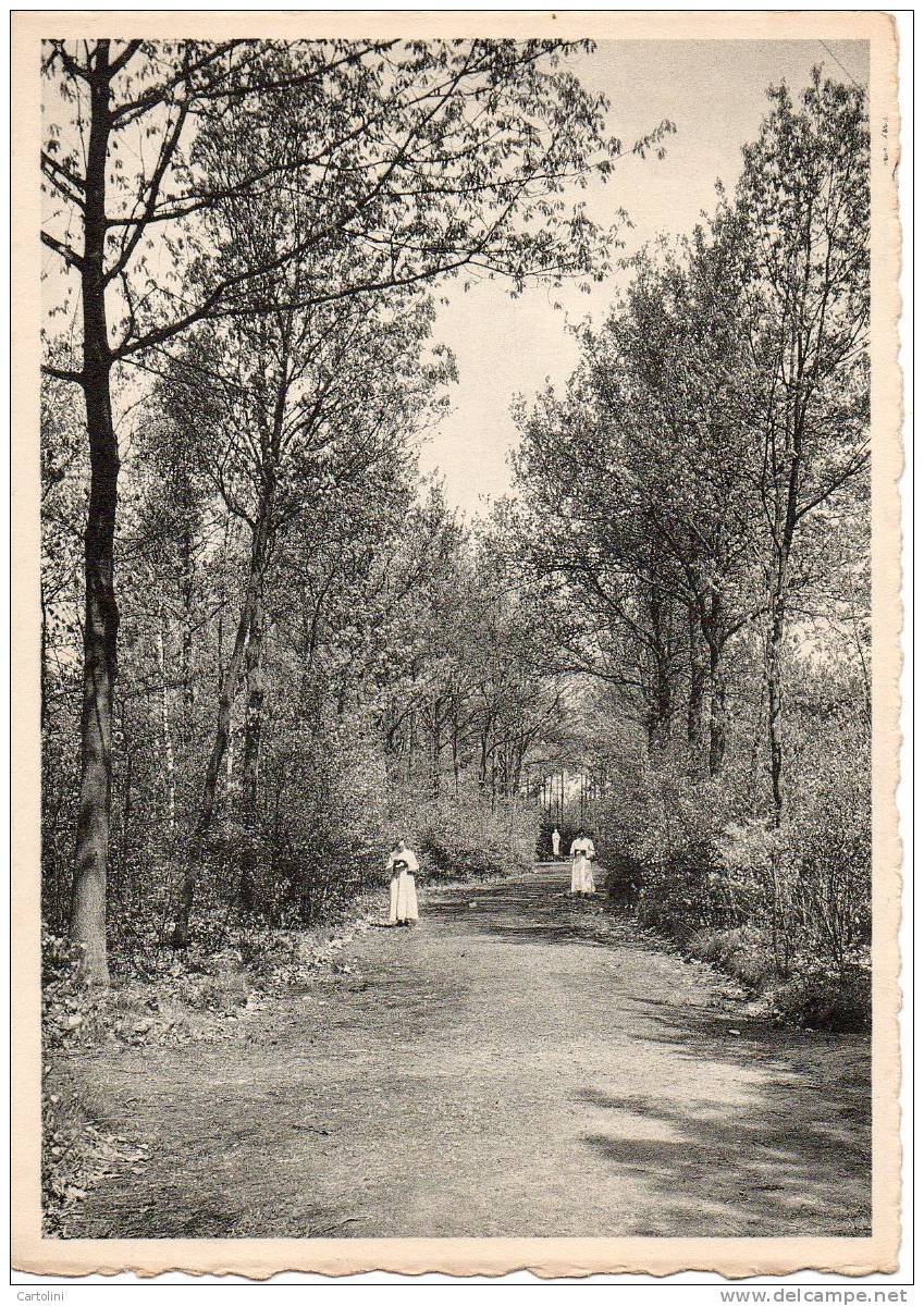 Zandhoven Paters Van De H.H. Harten Missieseminarie - Zandhoven