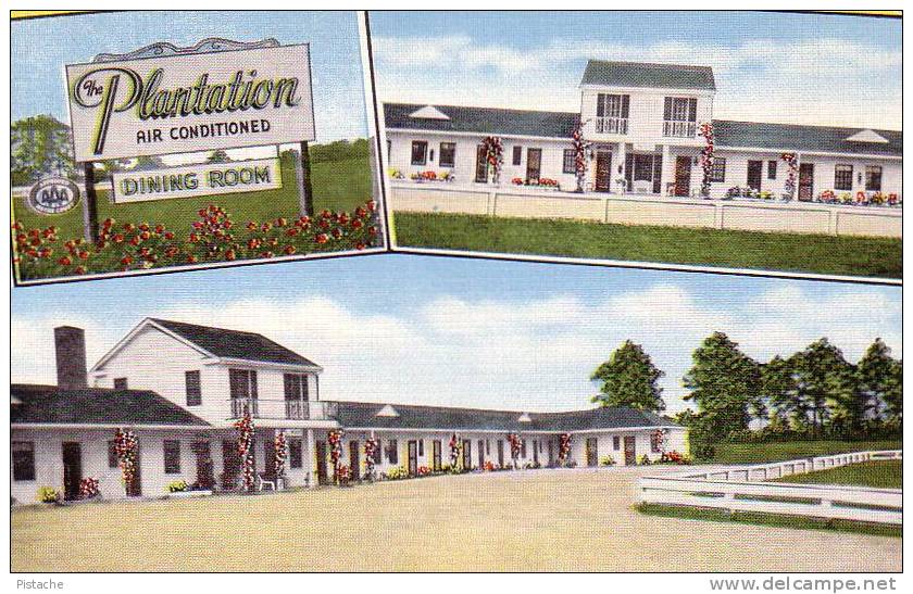 South Carolina - Typical Roadside 1950´s American Motel & Dining - # 14804 - Linen - Mint - Sonstige & Ohne Zuordnung