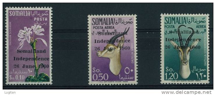 FILATELIA - Somalia Indipendente 26 Giugno 1960 - 3 Valori - N° 1 PO + N° 2 Posta Aerea - Somalie (1960-...)