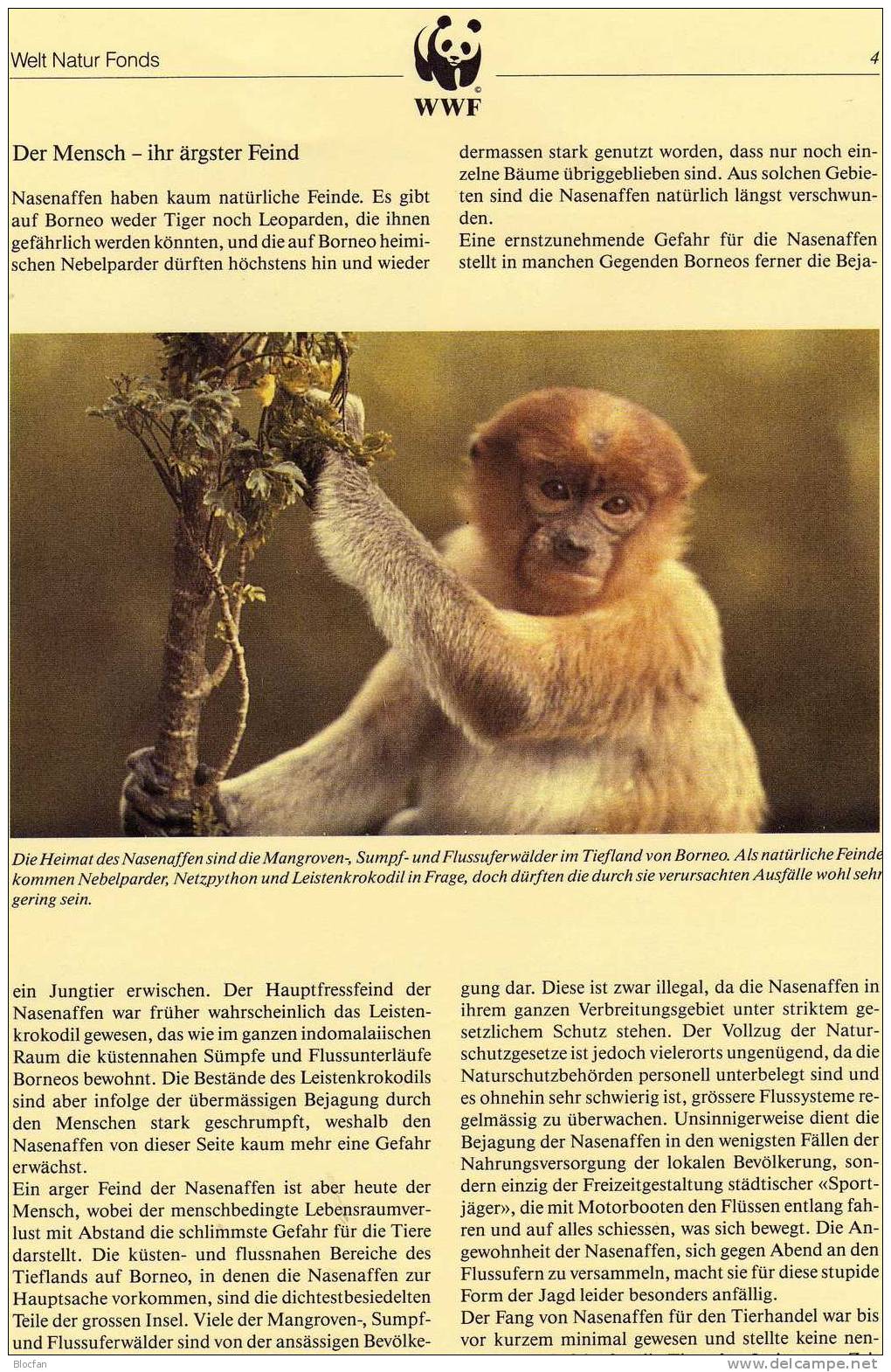 Nasenaffe WWF-Set 109 Brunei 450/3 Auf 4x MKt. 19€ Naturschutz 1991 Documentation Fauna Wild-life Maximum Cards Of Asia - Cartes-maximum