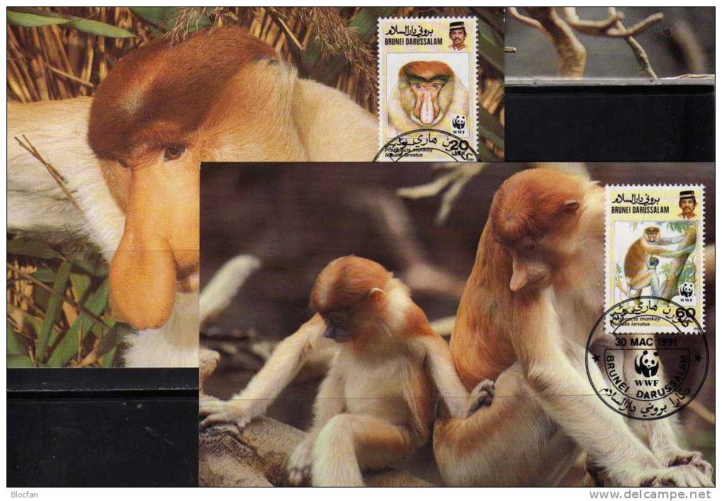 Nasenaffe WWF-Set 109 Brunei 450/3 Auf 4x MKt. 19€ Naturschutz 1991 Documentation Fauna Wild-life Maximum Cards Of Asia - Maximumkarten