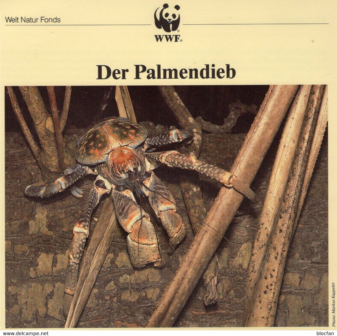 Krebs WWF-Set 156 Indian Ozean 132/5 4x MKt 15€ Naturschutz 1993 Dokumentation Palmendieb Fauna Wildlife Cards Of Nature - Maximumkarten