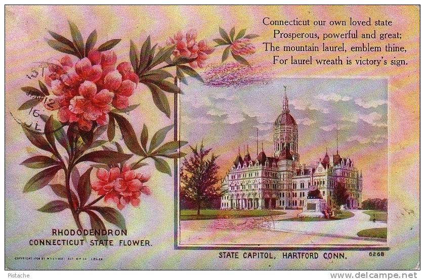 Hartford Connecticut - Rhododendron State Flower - Écrite 1916 - Voir Recto Verso - État  TB - Hartford