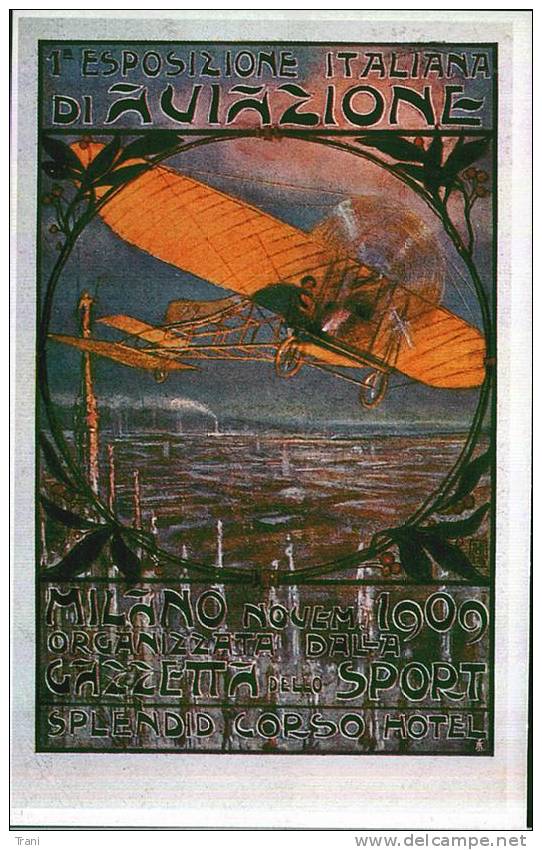 AVIAZIONE - Anno 1909  - RIPRODUZIONE - Meetings