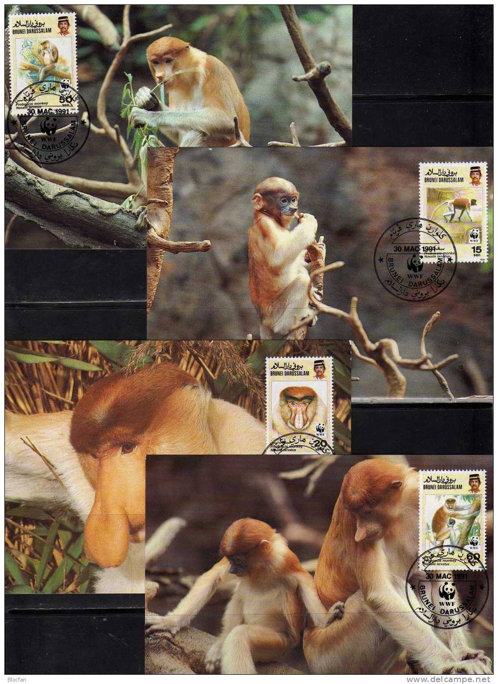 Dokumentation 1991 Affen WWF-Set 109 Brunei 450/3 **,4x FDC+4x MKt. 33CHF Nasenaffe Fauna Wild-life Covers/cards Of Asia - Collections (en Albums)