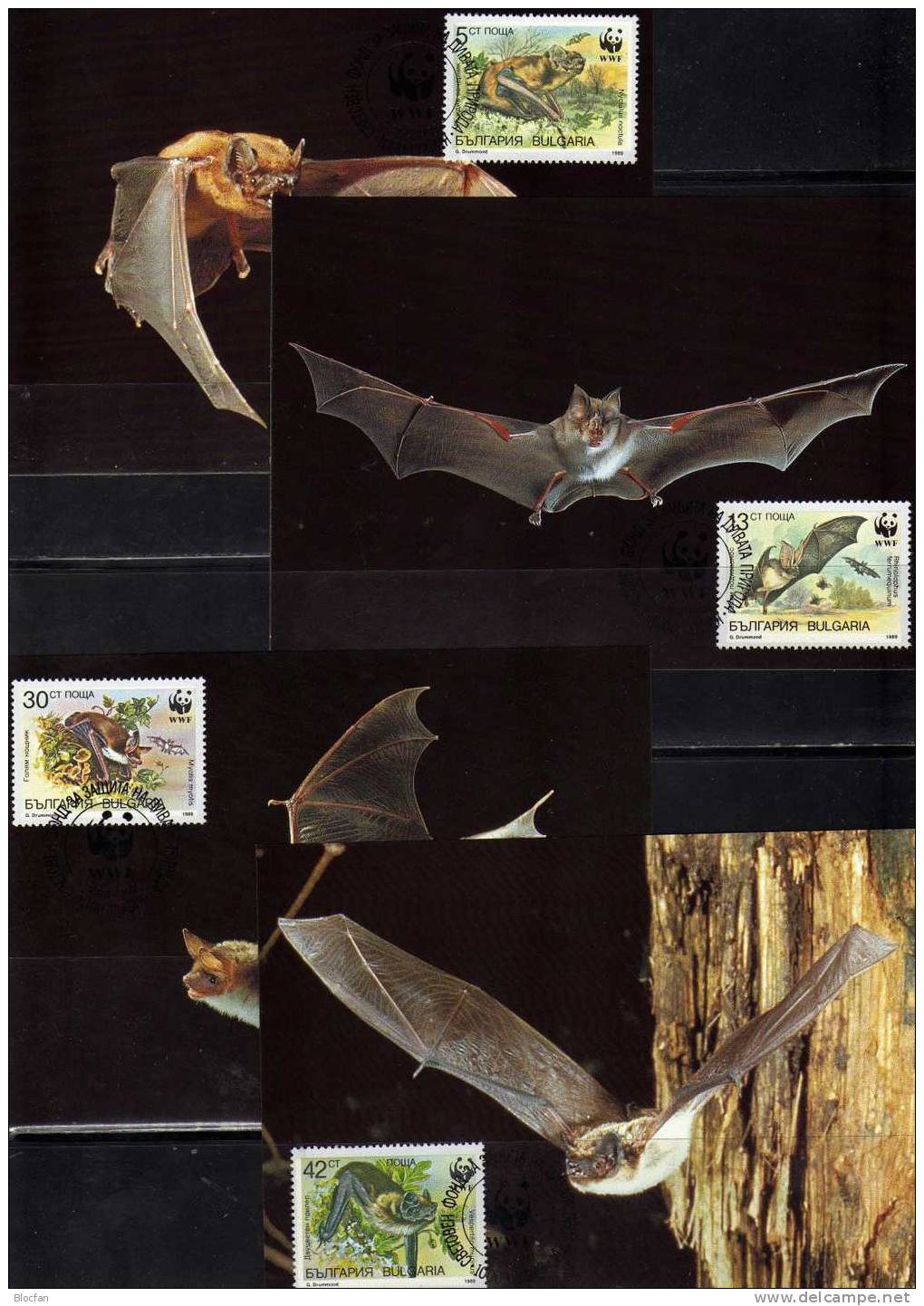 WWF-Set 78 Bulgaria 3741/4 O, 4FDC+ 4MKt. 19€ Vleermuizen And Documentation - Bats