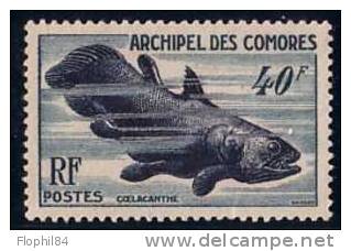 ARCHIPEL DES COMORES-N°13 NEUF** - COTE 36€ - Other & Unclassified
