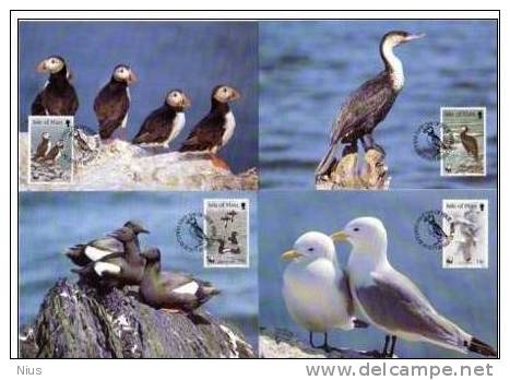 Isle Of Man 1989 WWF W.W.F. Bird Set Cormorant Kittiwake Puffin Black Guillemot Birds - Maximum Cards