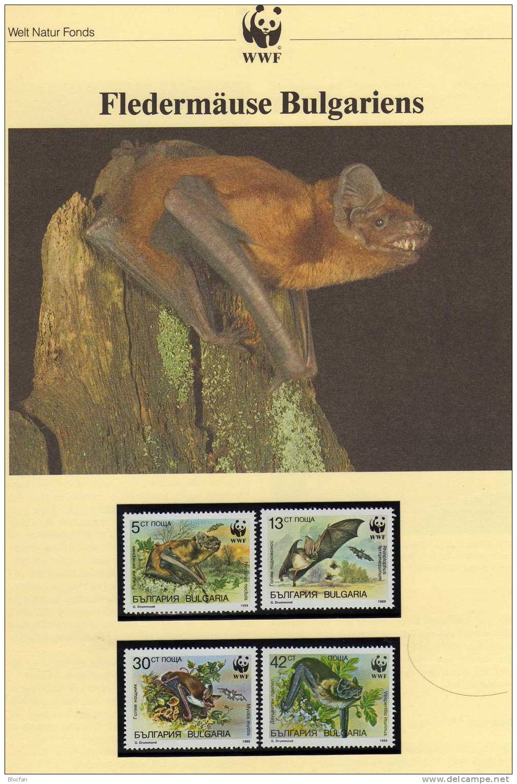 Naturschutz WWF-Set 78 Bulgarien 3741/4 4 FDC 6€ Fledermäuse Hufeisennase 1989 Dokumentation Wildlife Covers Of BULGARIA - Nature