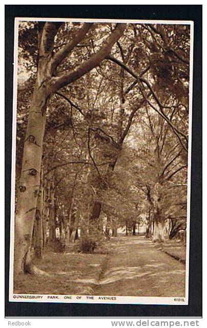 Early Postcard Gunnersbury Park London - One Of The Avenues - Ref 538 - London Suburbs