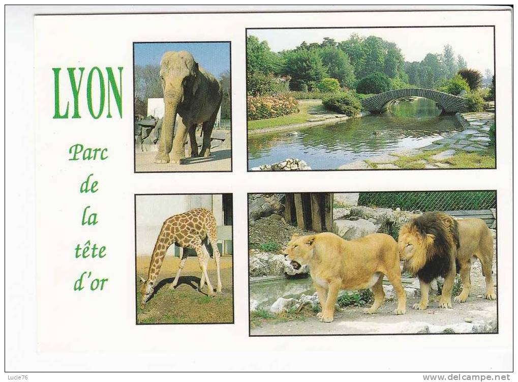 PARC DE LA TETE D´OR  -  LYON -  4 Vues  :  ELEPHANT - GIRAFE -  LIONS  - N° 2643   . - Éléphants