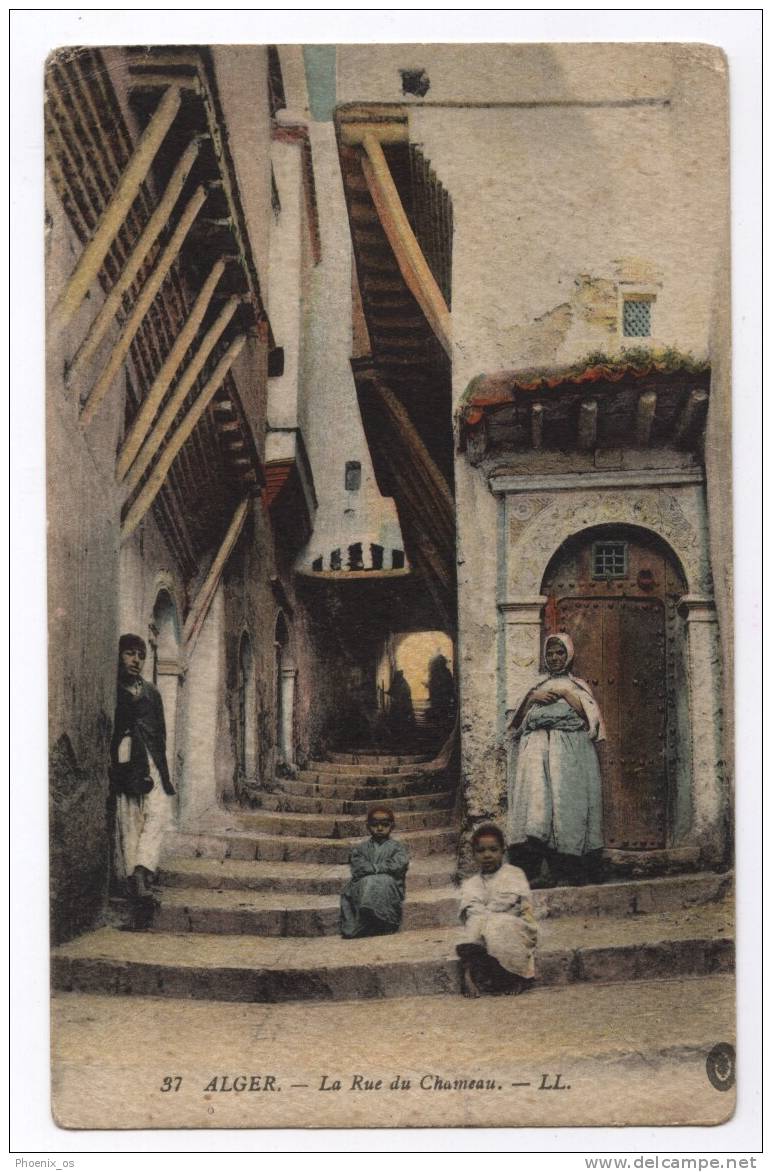 ALGERIA - ALGER, Street Chameau, 1918. - Autres & Non Classés