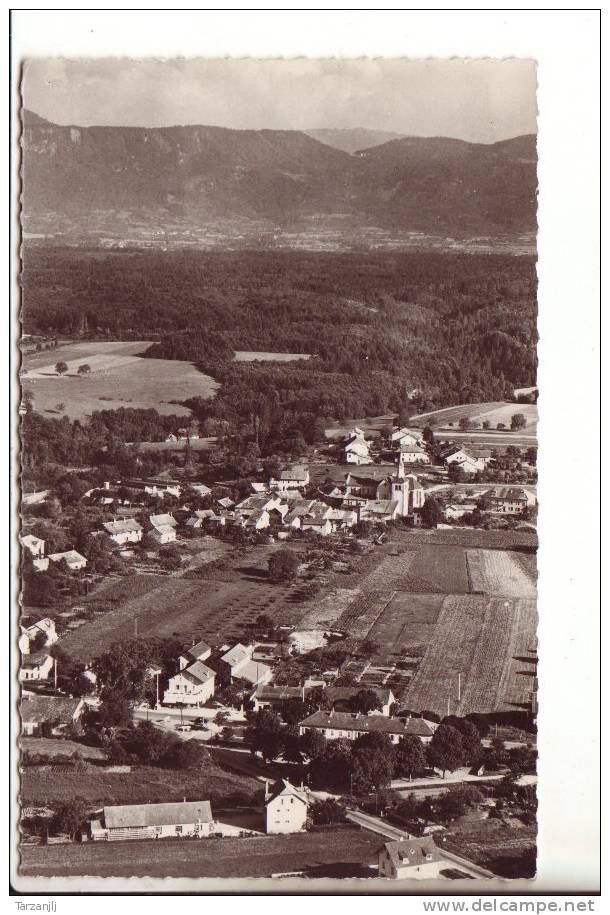 CPSM De Sciez (Haute Savoie 74): Vue Générale Aérienne - Sciez