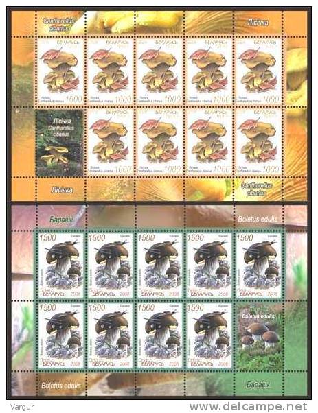 BELARUS 2008 Mushrooms. MINI-SHEETS, MNH - Funghi