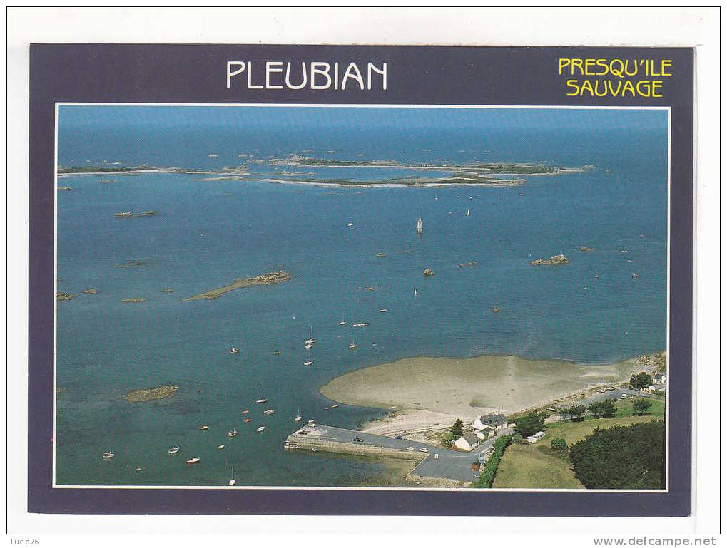 PLEUBIAN -  Port Béni Et L'Ile D'Er - N°   2640 - Pleubian