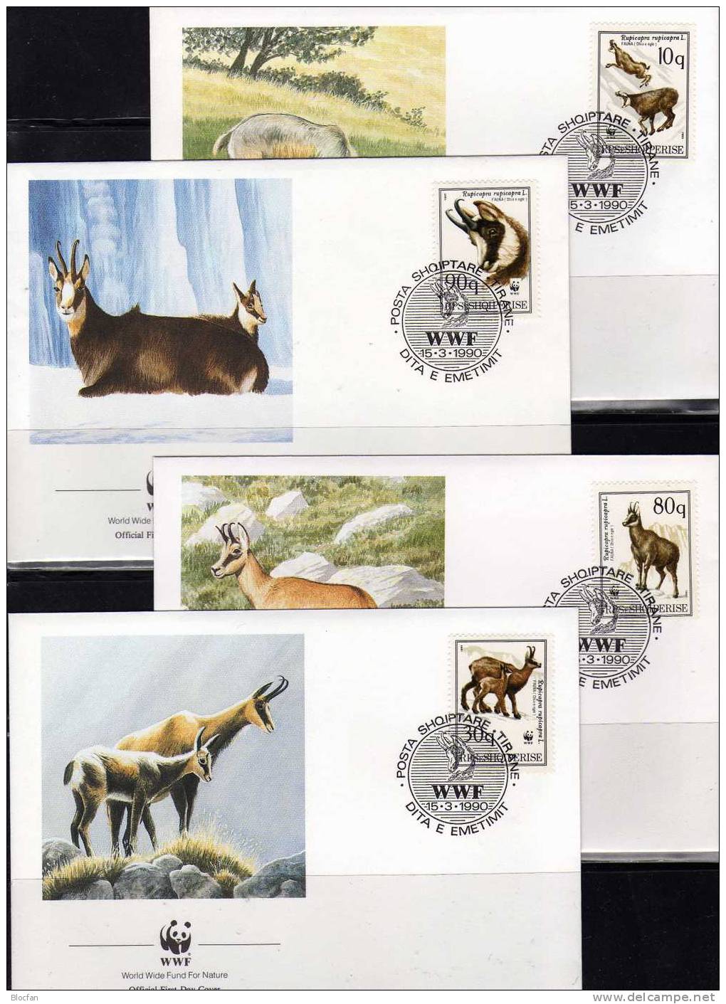 Fauna WWF-Set 2 Anguilla 541/4 **,4FDC+4MKt. 158€ Meeres-Schildkröte 1983 Dokumentation Water Cover/mc Sets Of Caribic - Briefe U. Dokumente