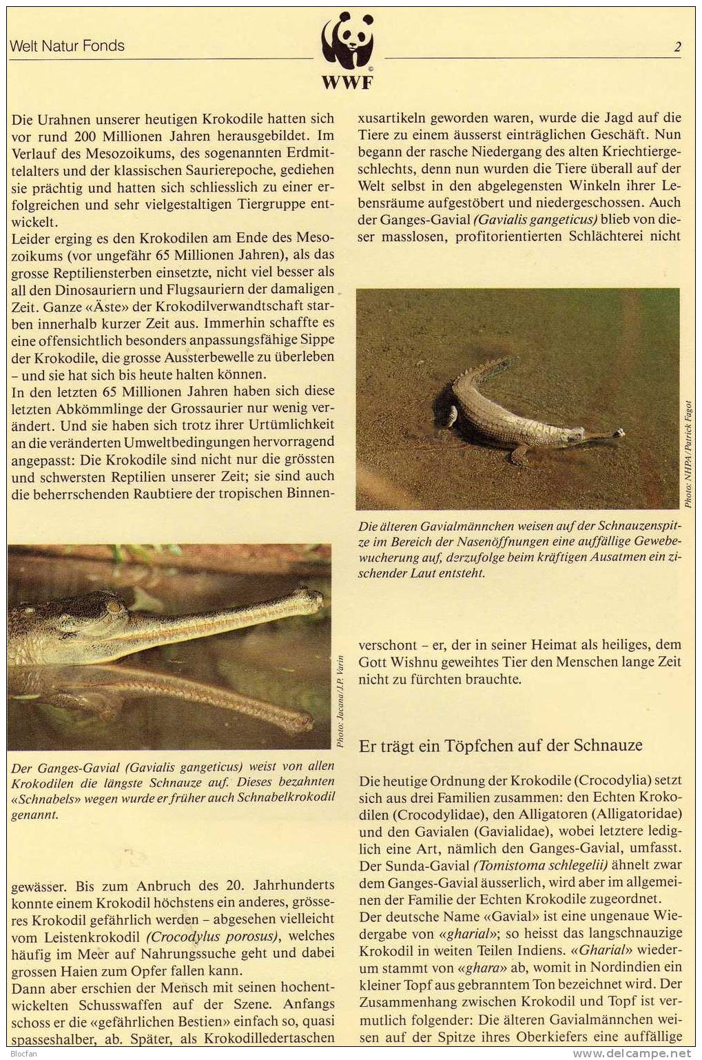 WWF-Set 90 Bangladesch 323/6 ** 9€ Ganges Gavial Krokodil Und Naturschutz Dokumentation - Bangladesch