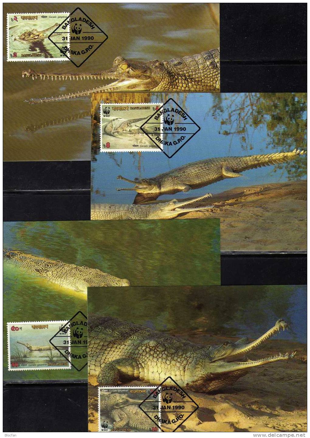 WWF-Set 90 Bangladesch 323/6 **,4FDC+4MKt. 25CHF Ganges Gavial Krokodil 1990 Dokumentation Wildlife Cover Set Of Asia - Colecciones (en álbumes)