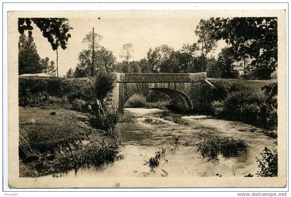 St-ANDRE-le-GAZ - Le Pont Napoléon - Saint-André-le-Gaz