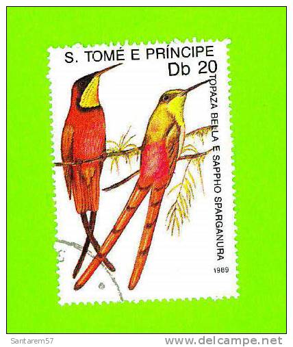 Timbre Oblitéré Used Stamp Selo Carimbado Topaza Bella Et Sappho Sparganura ST PRINCIPE Db20 1989 - Sao Tome Et Principe