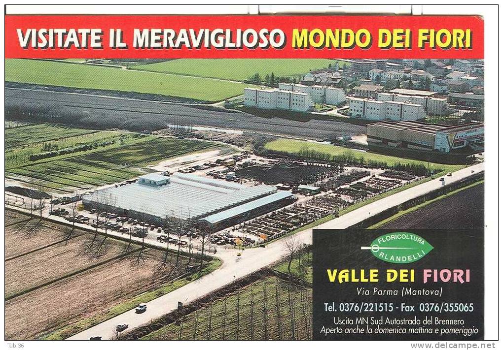 VALLE DEI FIORI -  MANTOVA  1996 -  COLORI  N/V - - Mantova